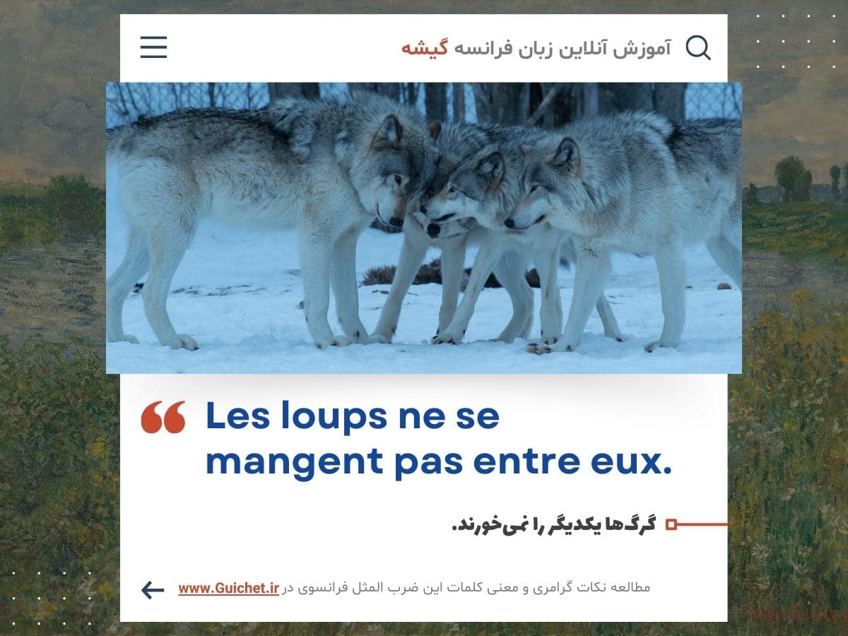 ضرب المثل فرانسه به فارسی درباره گرگ ها